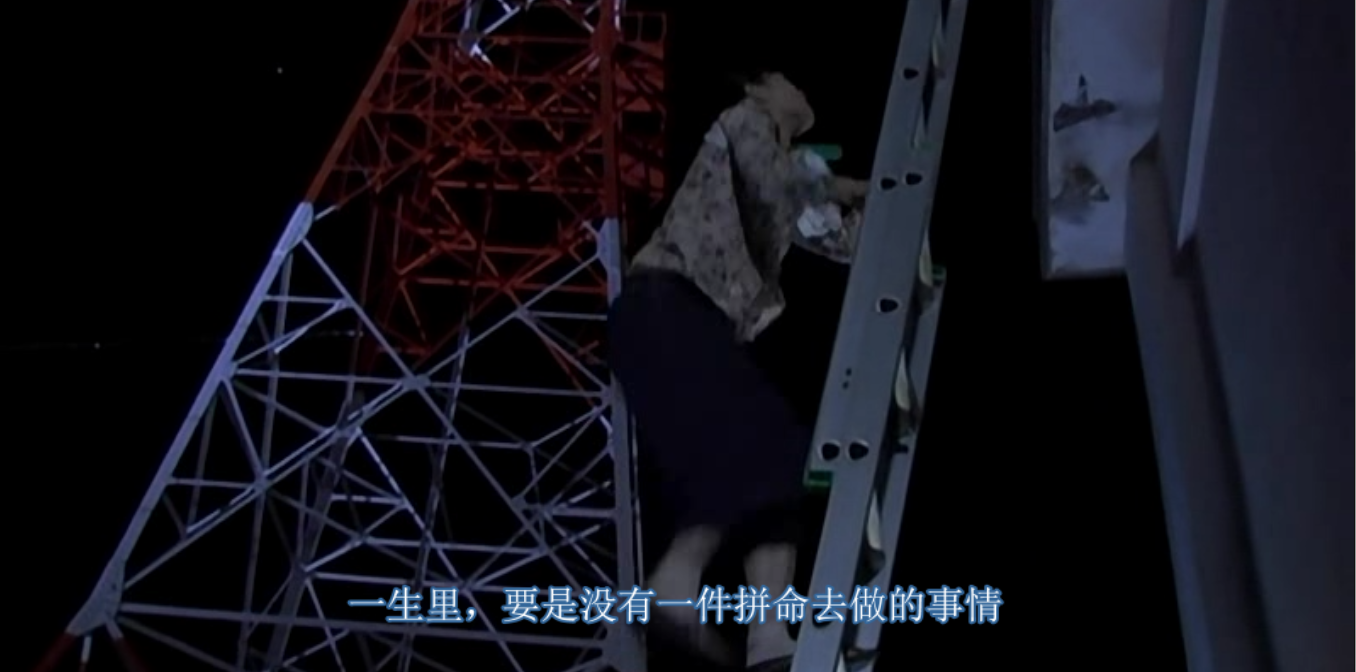 乌龟意外之速游剧照的剧照