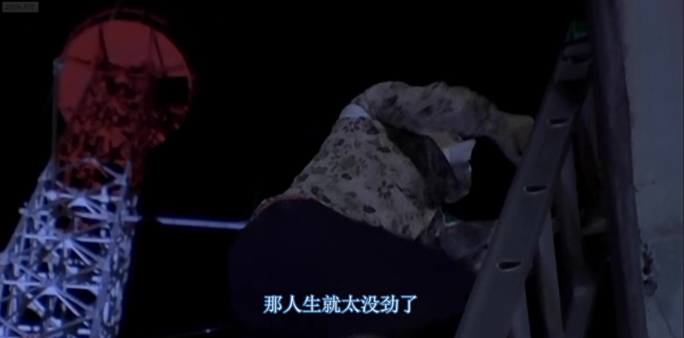 乌龟意外之速游剧照的剧照