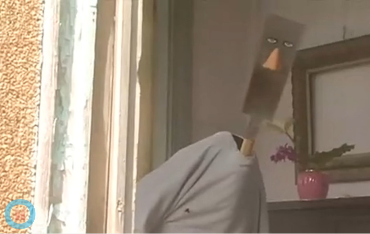 乌龟意外之速游剧照的剧照