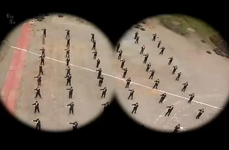 乌龟意外之速游剧照的剧照