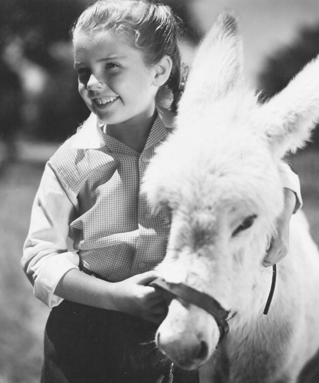 悠情伴我心剧照的剧照