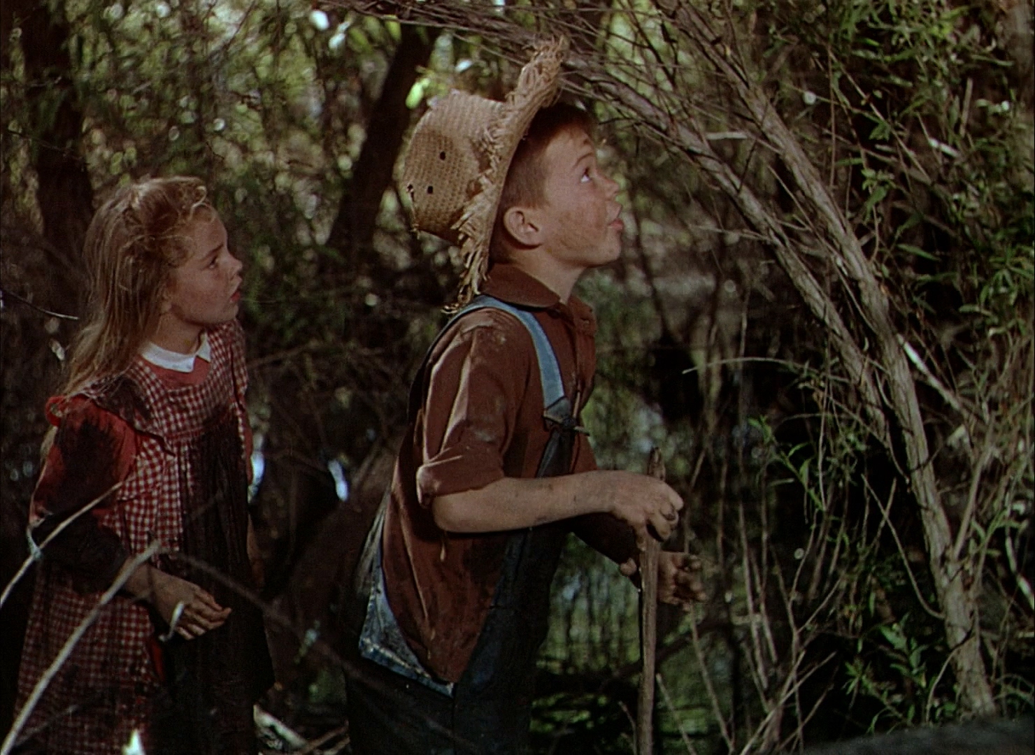 悠情伴我心剧照的剧照