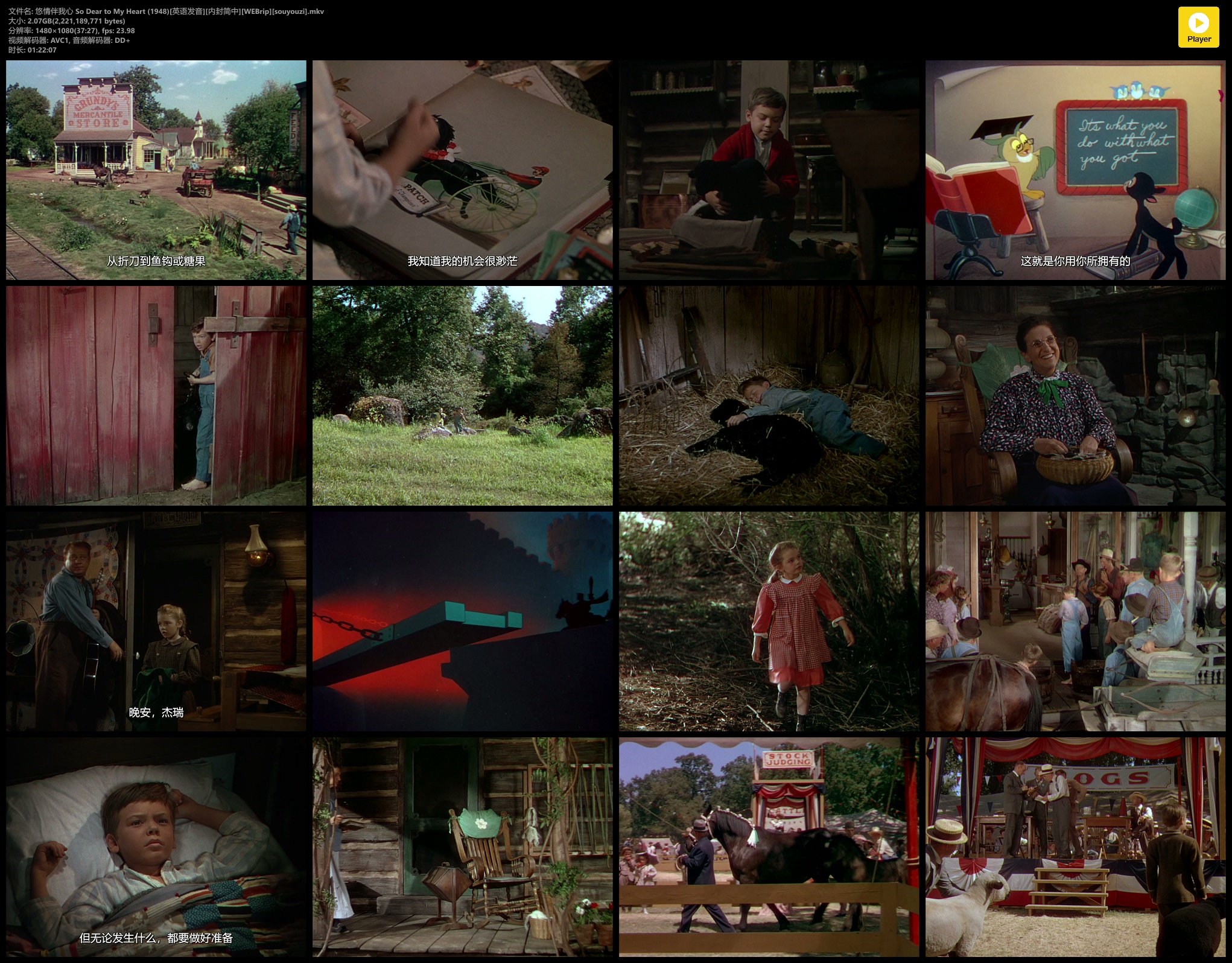 悠情伴我心剧照的剧照