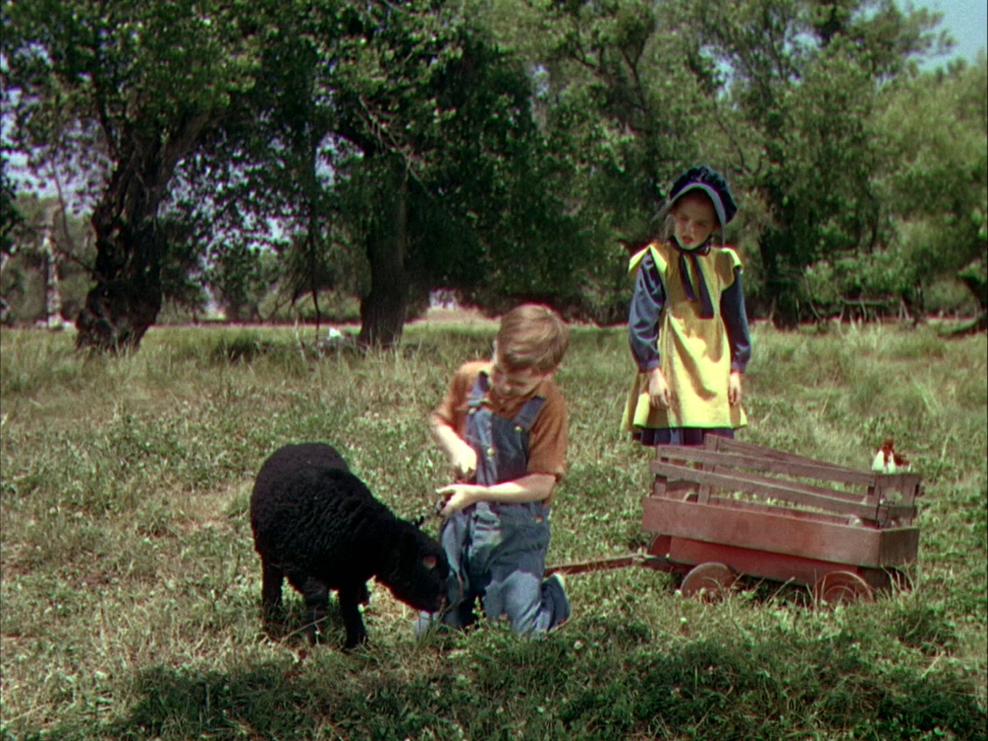 悠情伴我心剧照的剧照