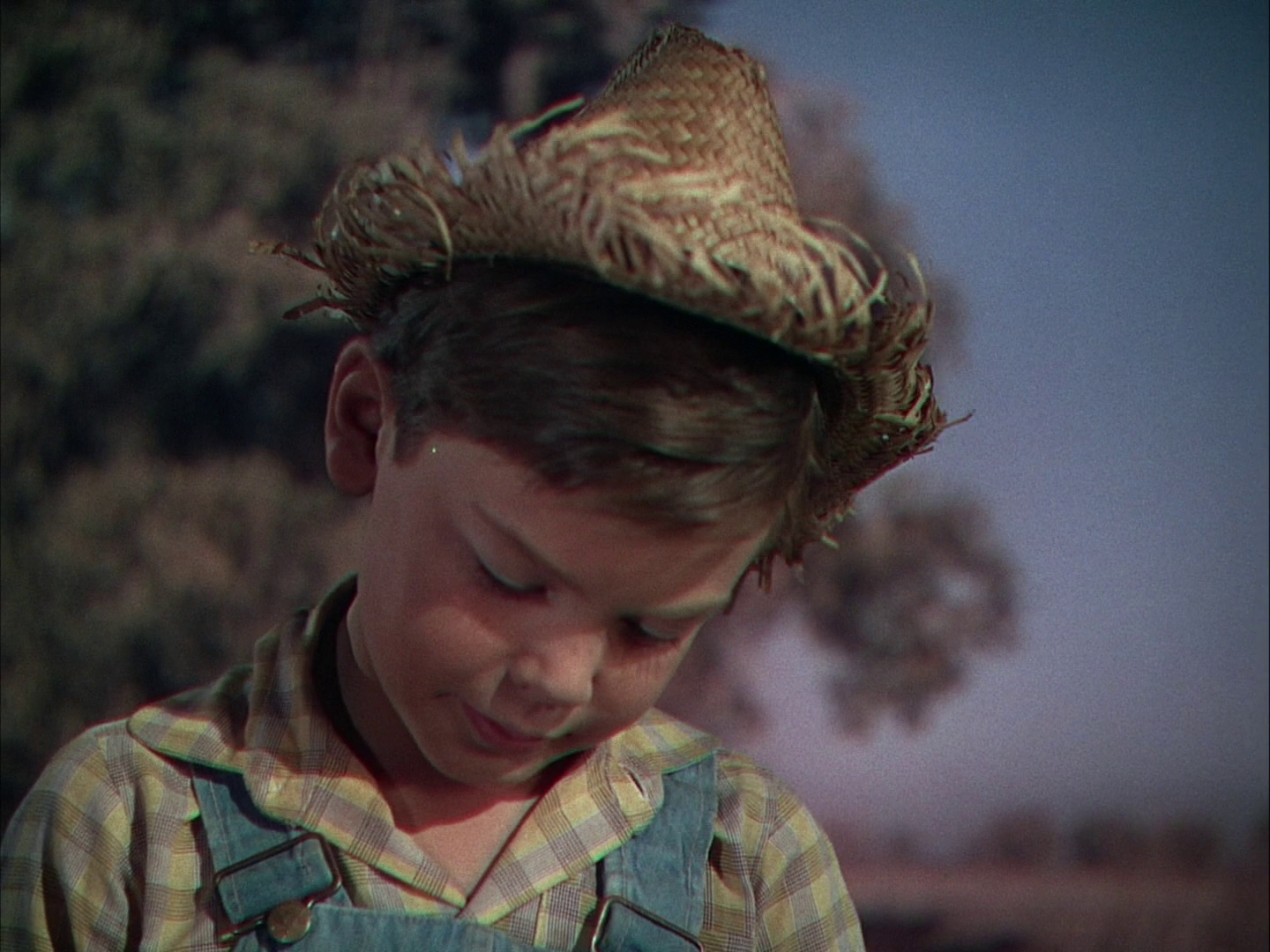 悠情伴我心剧照的剧照