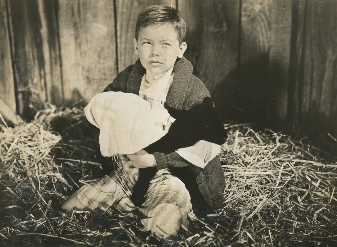 悠情伴我心剧照的剧照