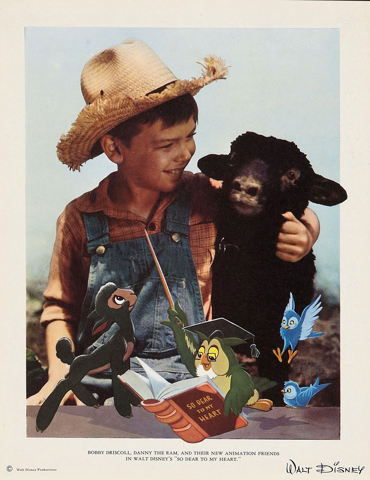 悠情伴我心剧照的剧照