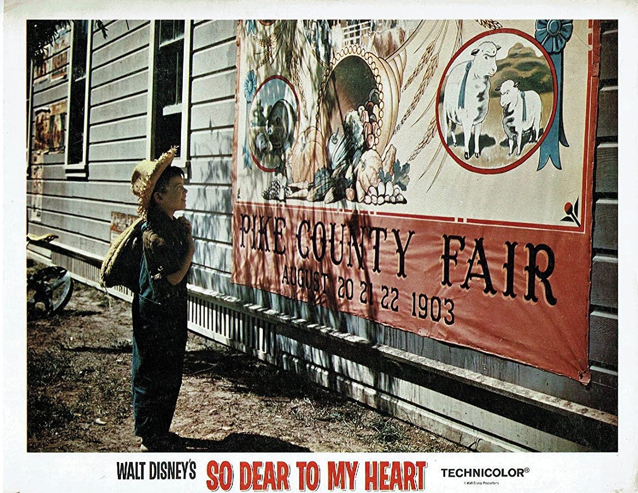 悠情伴我心剧照的剧照