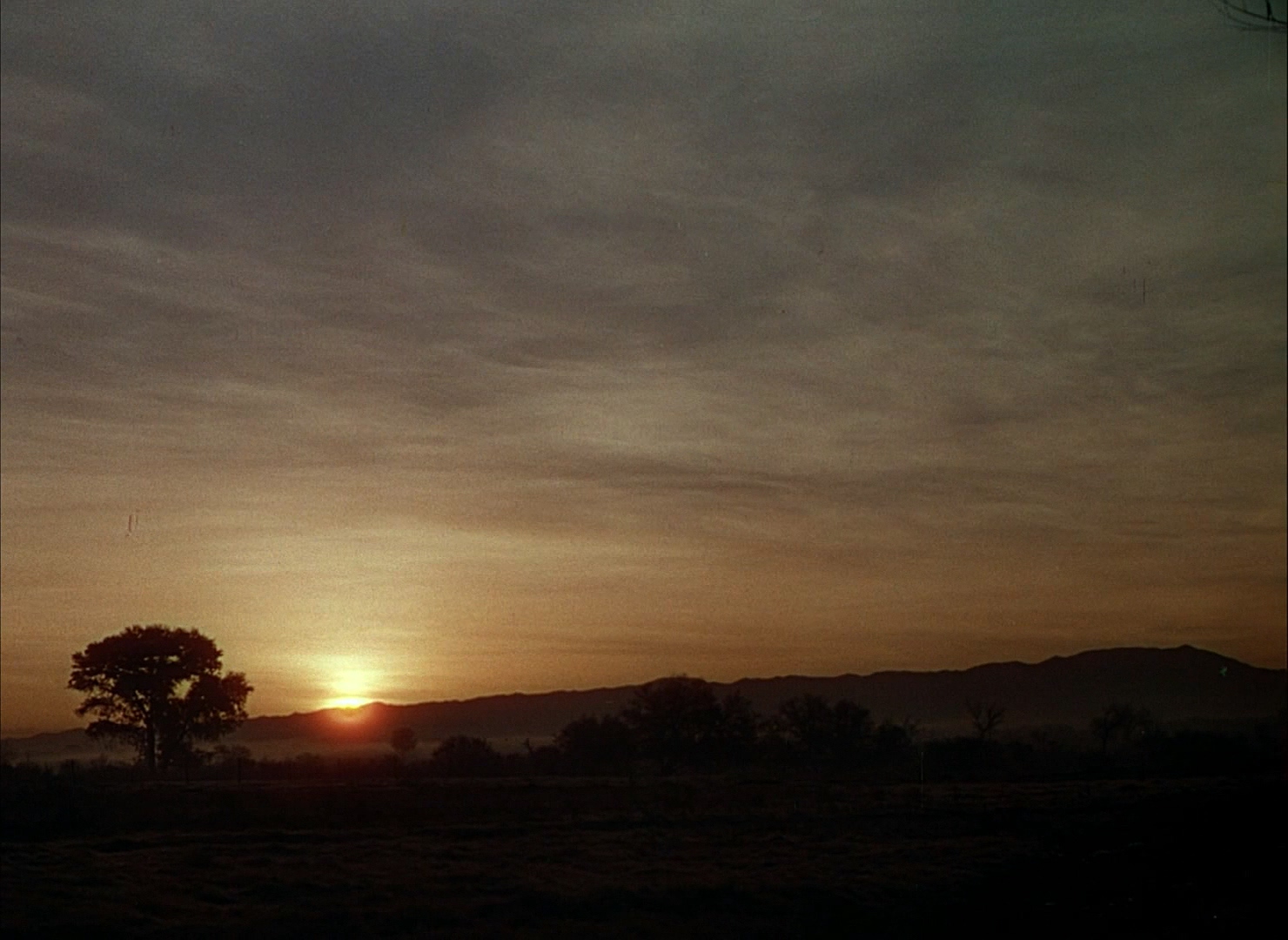 悠情伴我心剧照的剧照