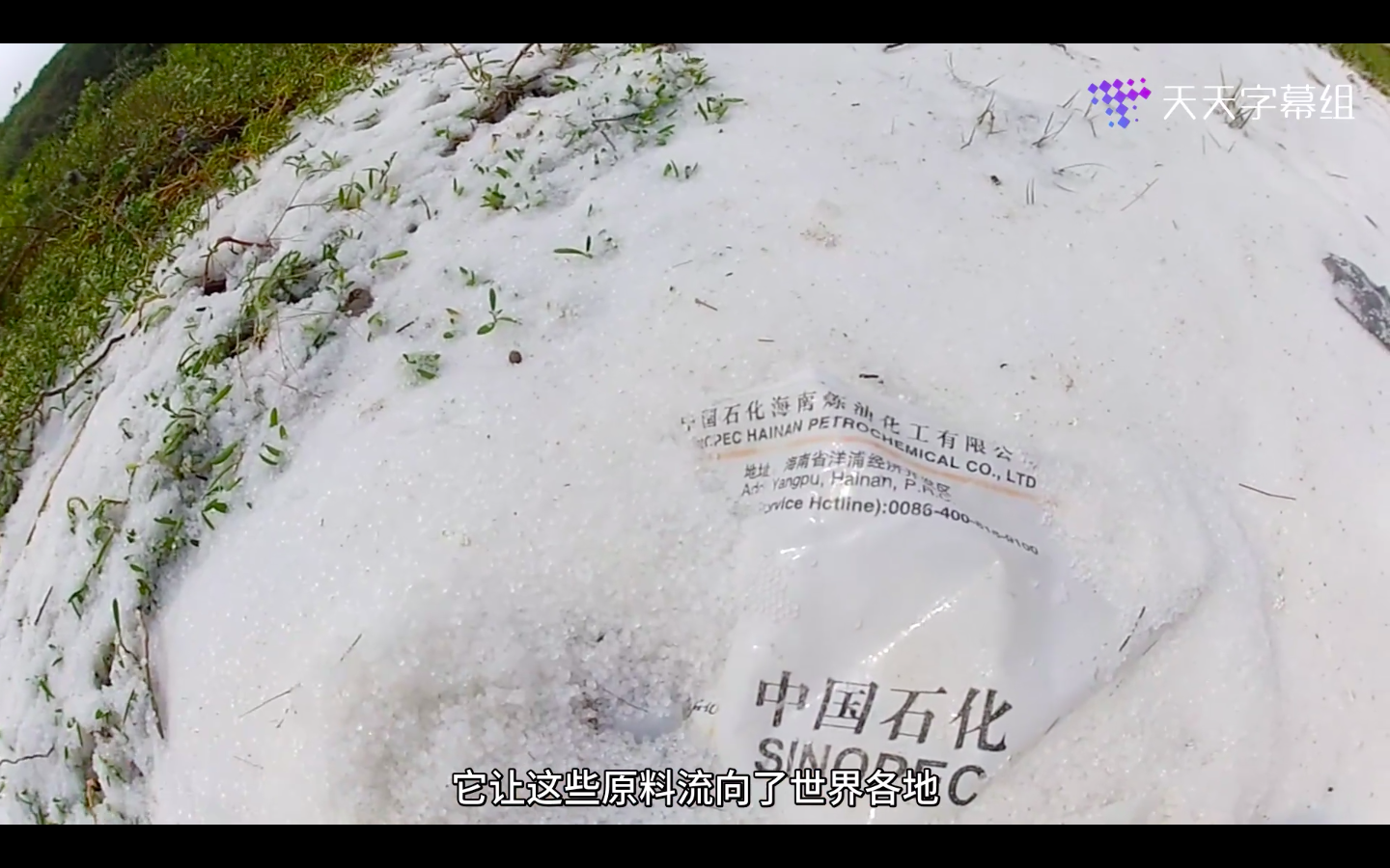 塑料海洋剧照的剧照