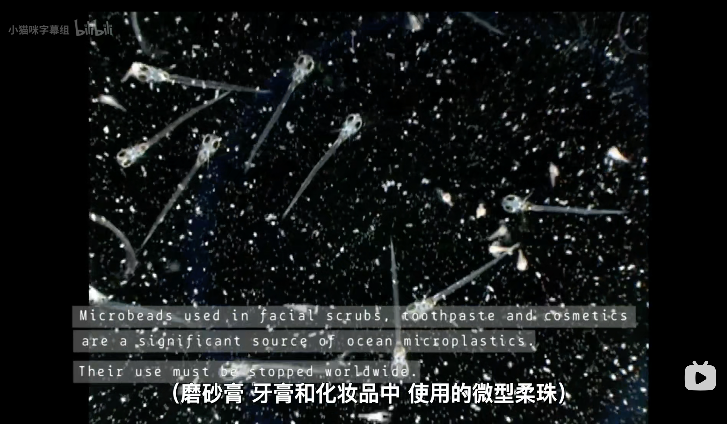 塑料海洋剧照的剧照