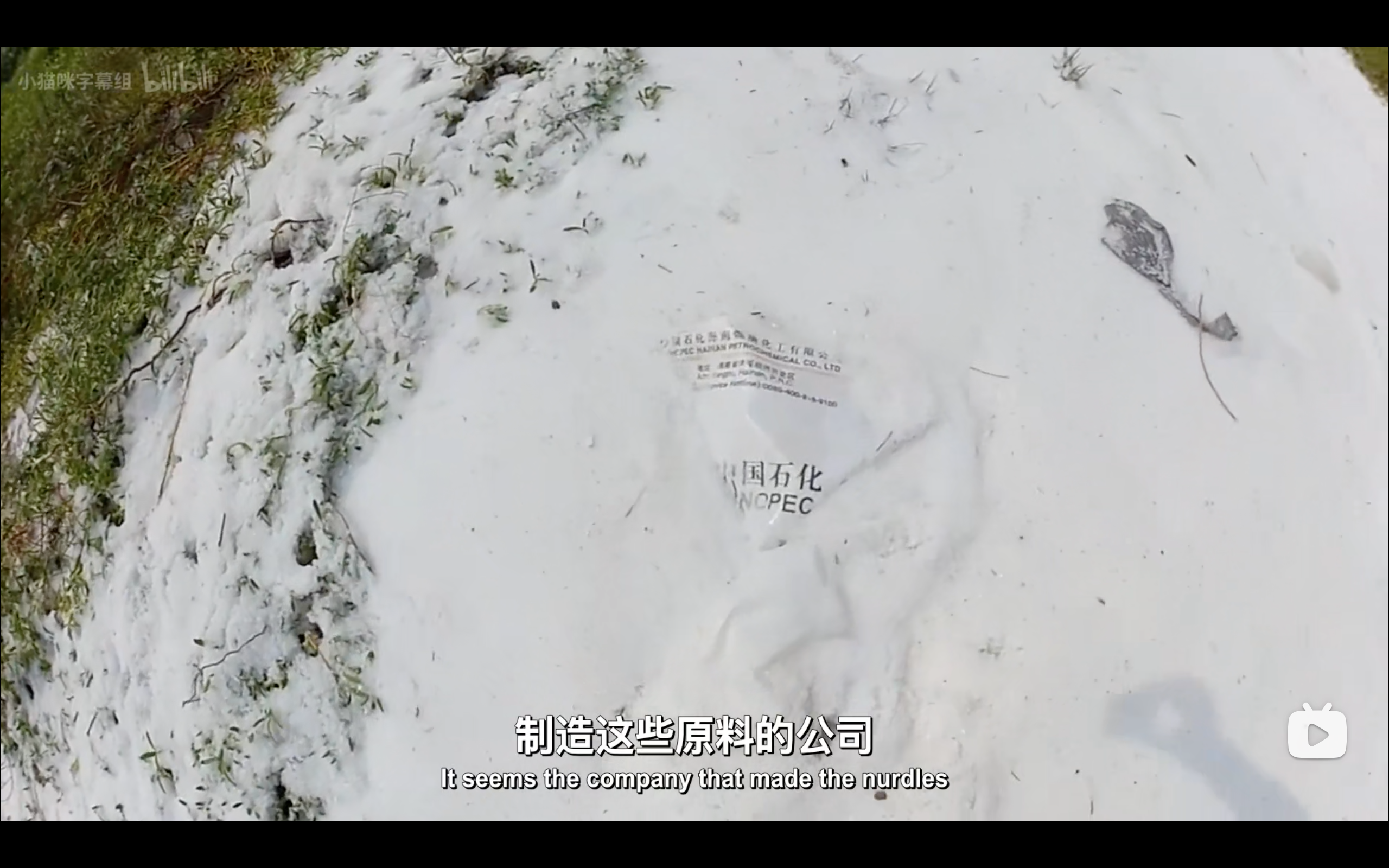 塑料海洋剧照的剧照