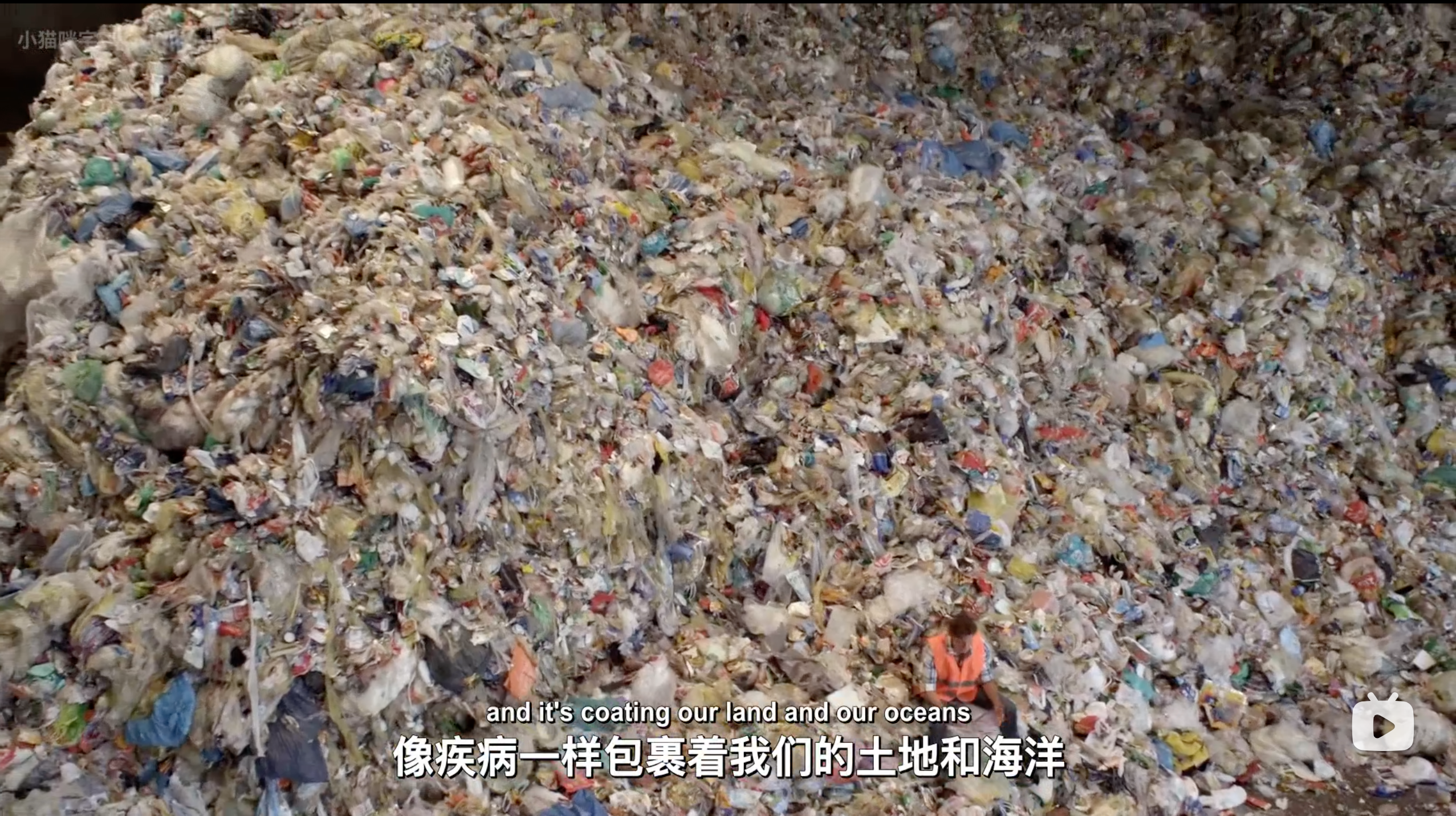 塑料海洋剧照的剧照