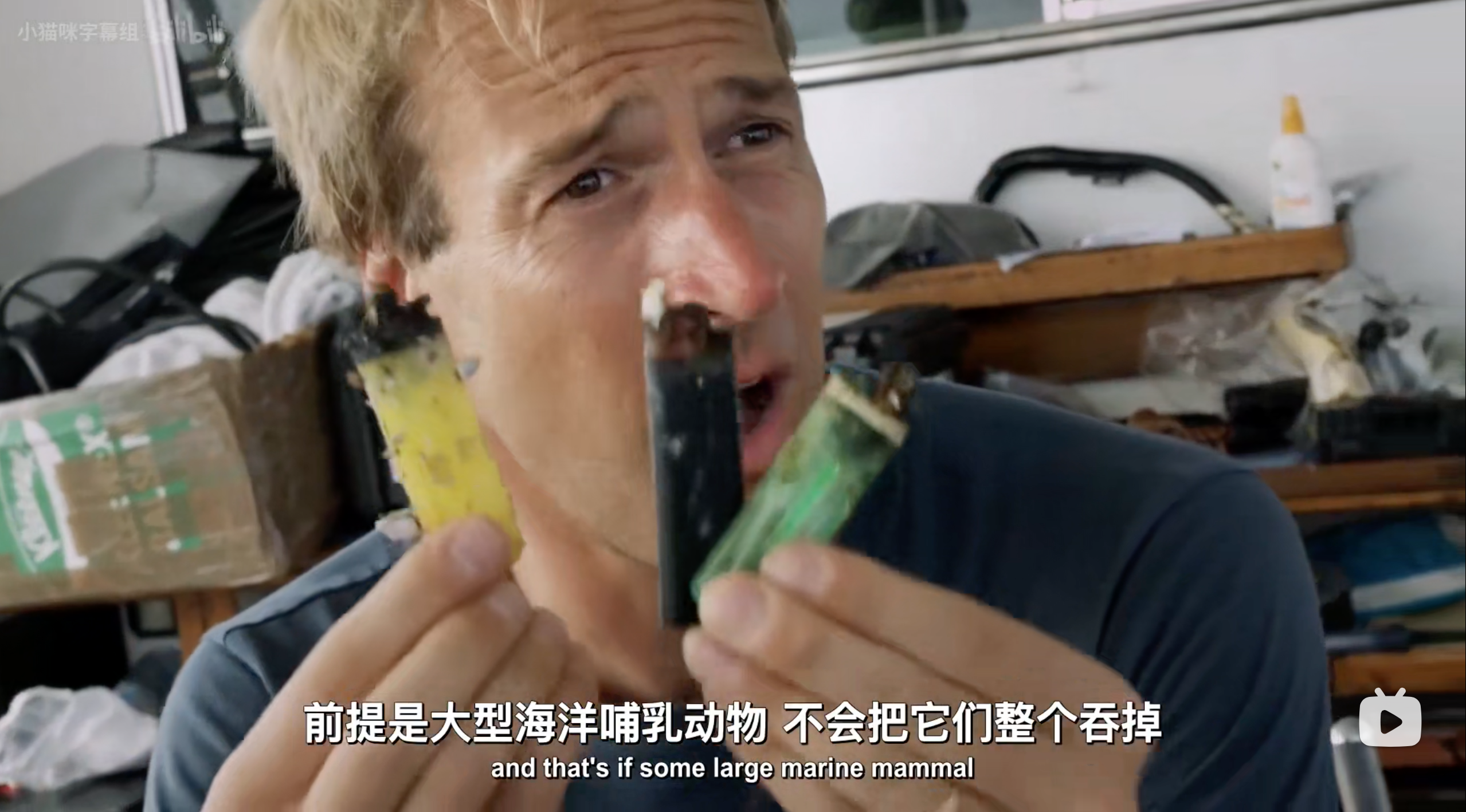 塑料海洋剧照的剧照