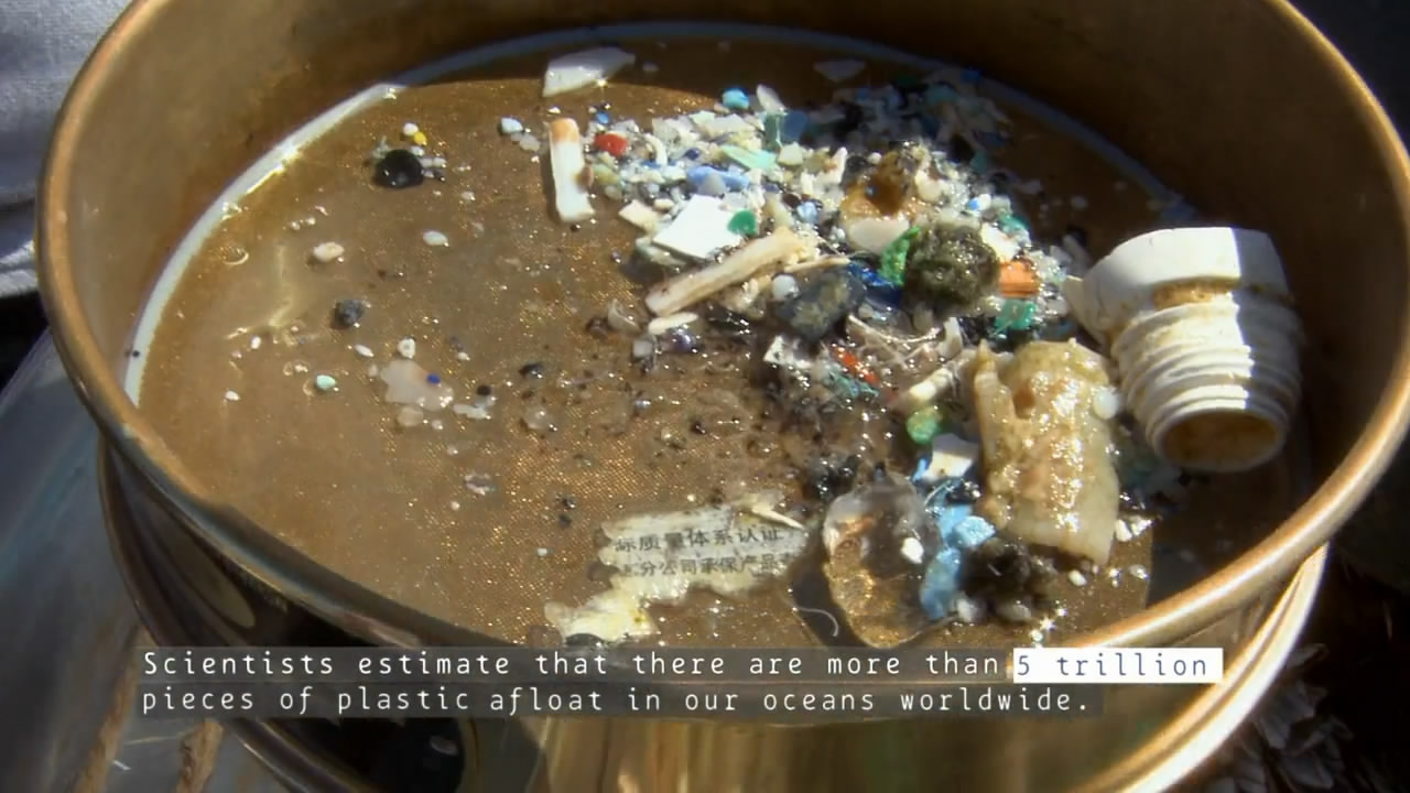 塑料海洋剧照的剧照