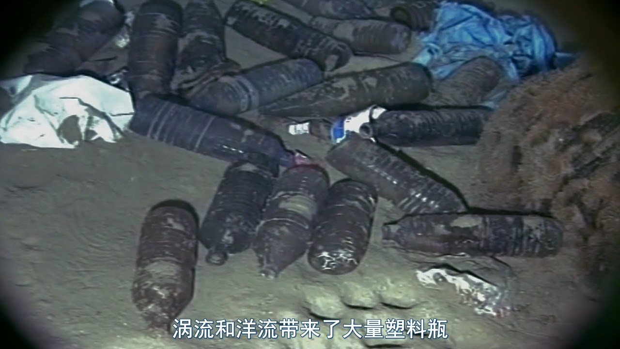 塑料海洋剧照的剧照