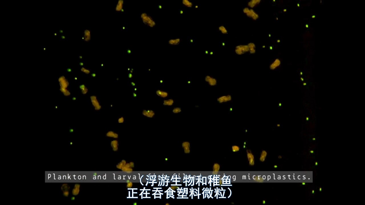 塑料海洋剧照的剧照