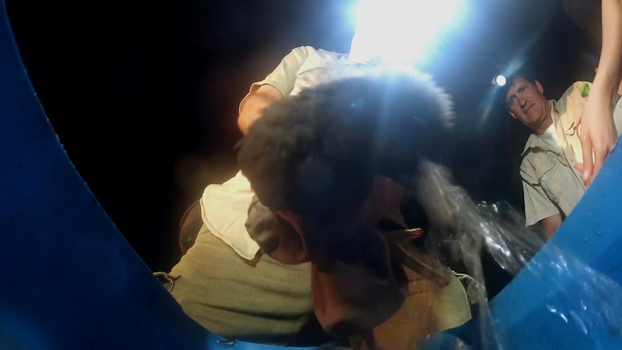 塑料海洋剧照的剧照