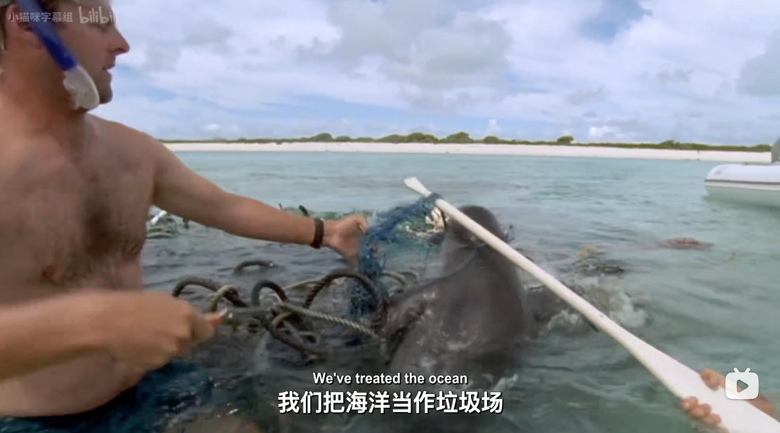 塑料海洋剧照的剧照