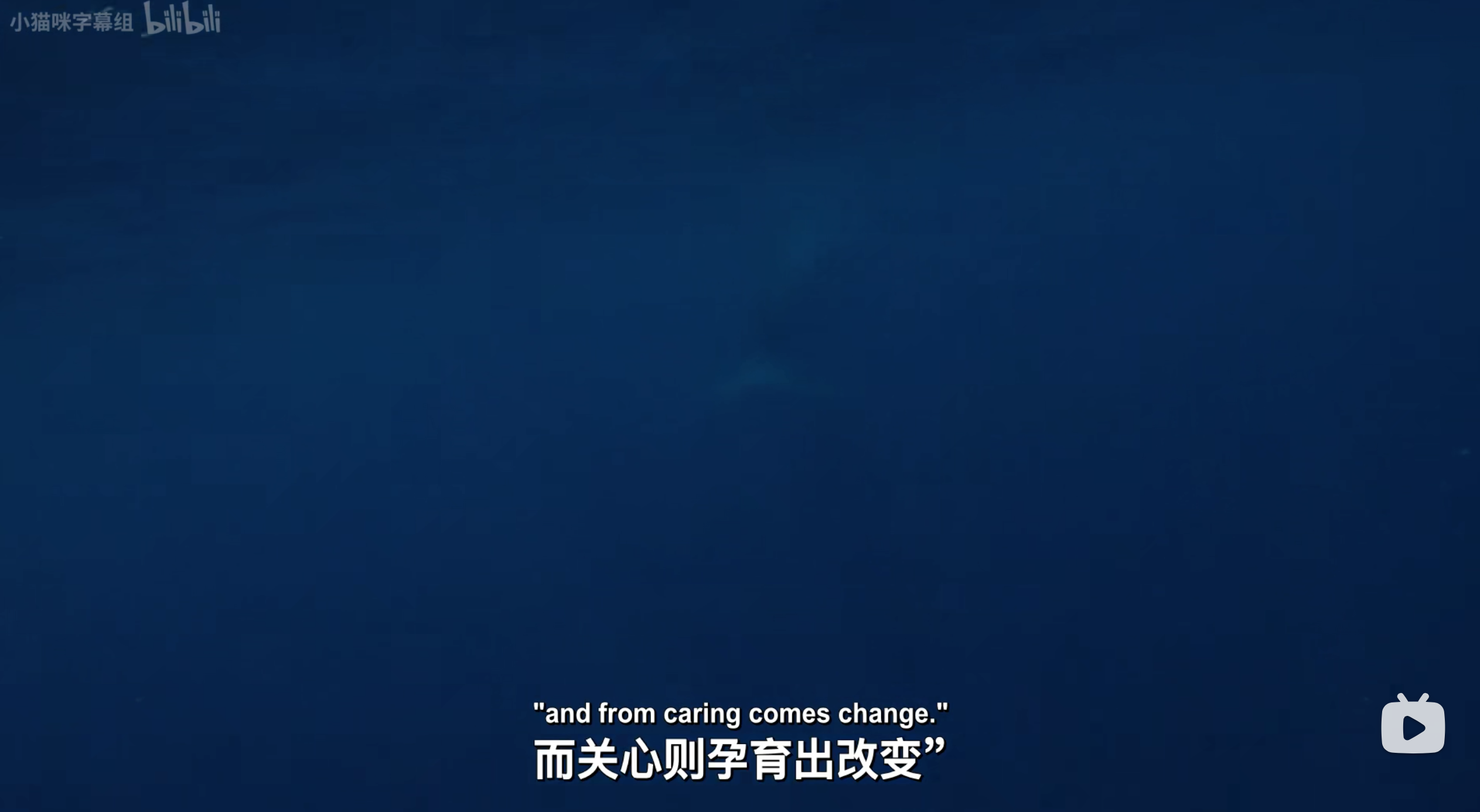 塑料海洋剧照的剧照