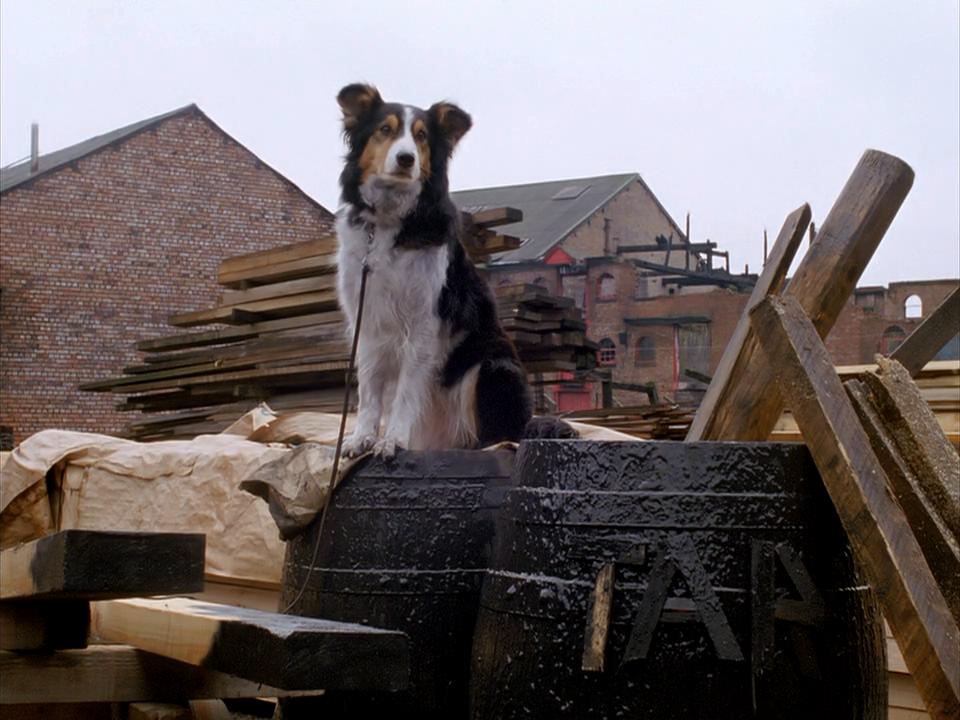 四签名剧照的剧照