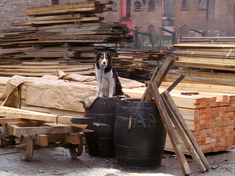 四签名剧照的剧照