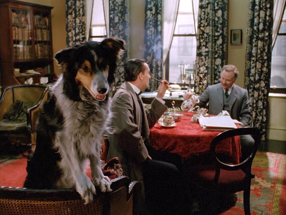 四签名剧照的剧照