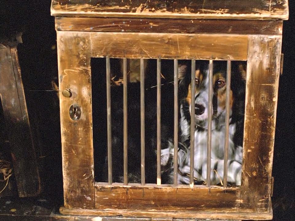 四签名剧照的剧照