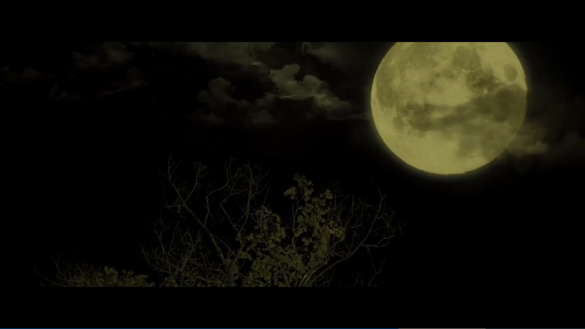 怨灵3：看不见的小孩剧照的剧照