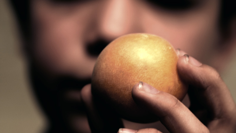 白色恋人剧照的剧照