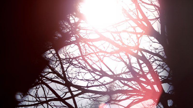 白色恋人剧照的剧照