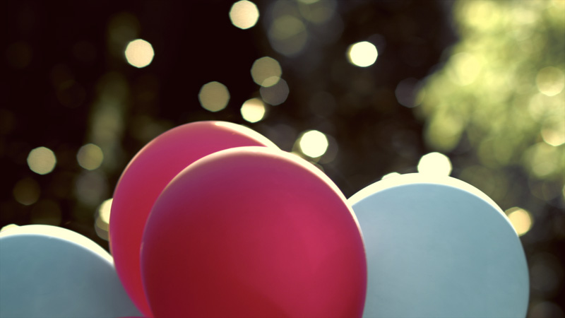 白色恋人剧照的剧照