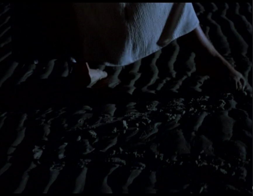 牡蛎与风的故事剧照的剧照