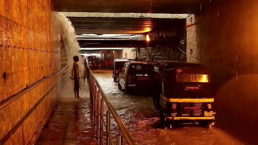 桑妮·黎翁剧照的剧照