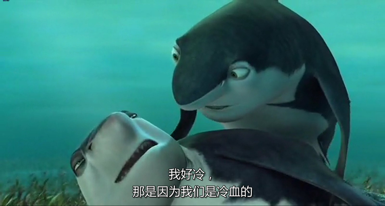 鲨鱼黑帮剧照的剧照
