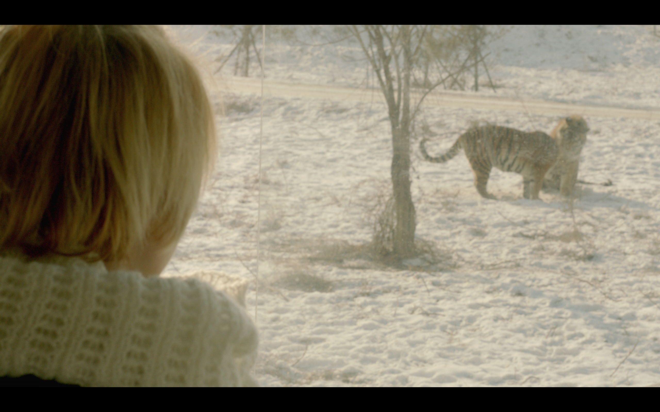 两只老虎剧照的剧照