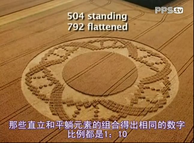 麦田怪圈剧照的剧照