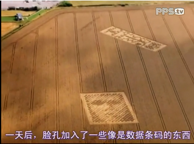 麦田怪圈剧照的剧照