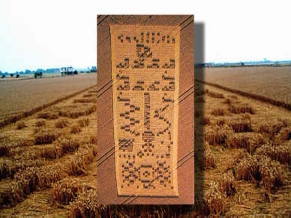 麦田怪圈剧照的剧照