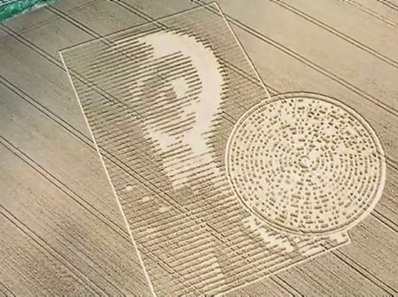 麦田怪圈剧照的剧照