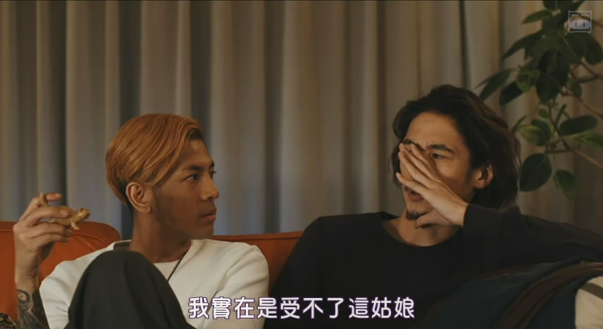 野良猫剧照的剧照