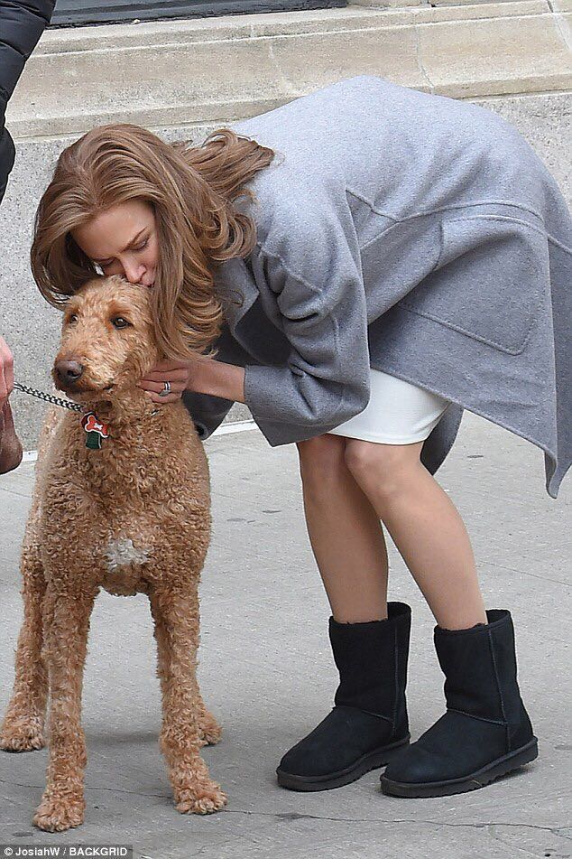 金翅雀剧照的剧照