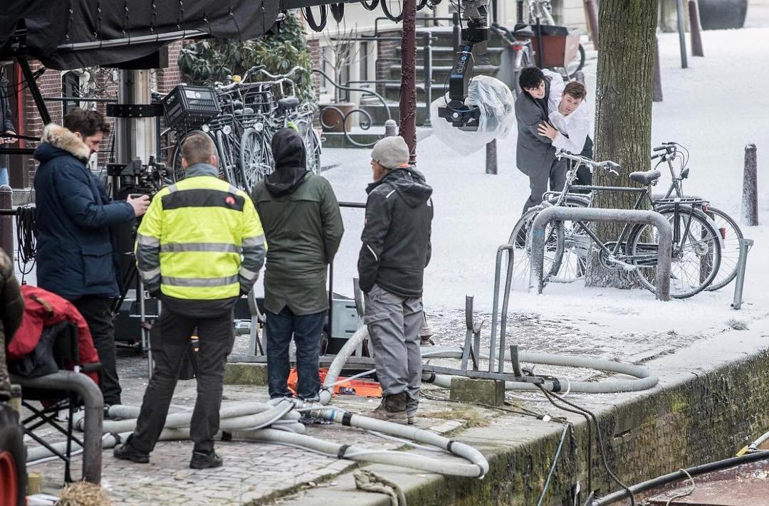 金翅雀剧照的剧照