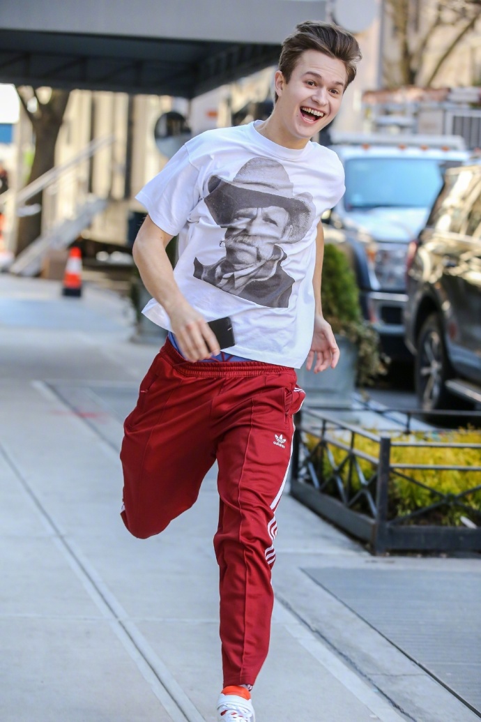 金翅雀剧照的剧照