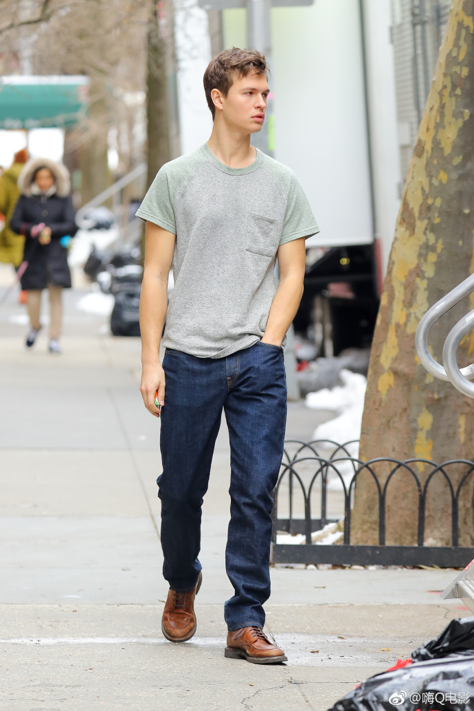 金翅雀剧照的剧照