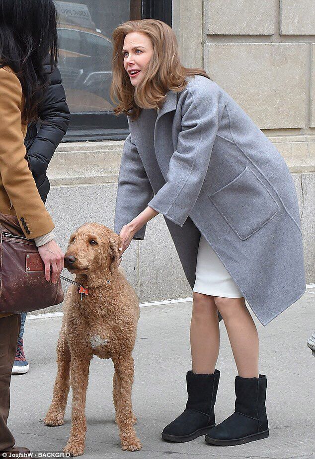 金翅雀剧照的剧照