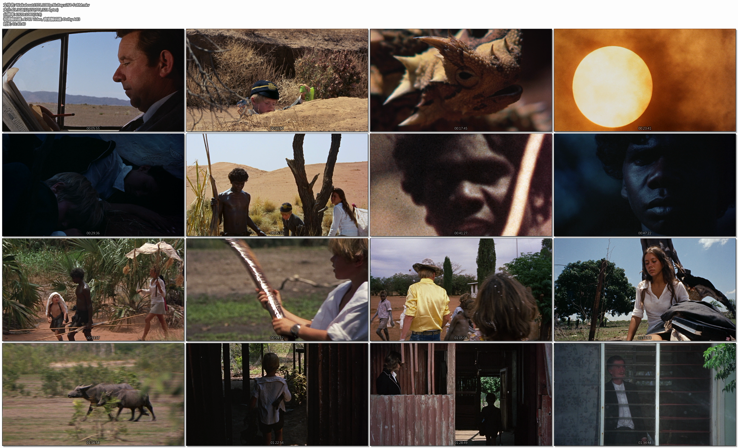 小姐弟荒原历险剧照的剧照