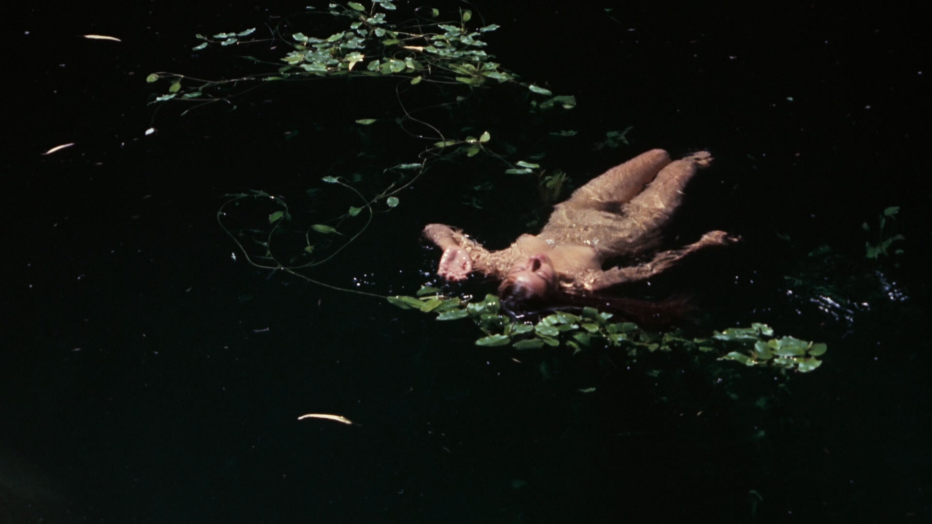 小姐弟荒原历险剧照的剧照