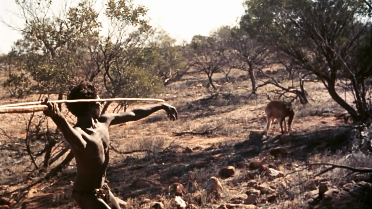 小姐弟荒原历险剧照的剧照