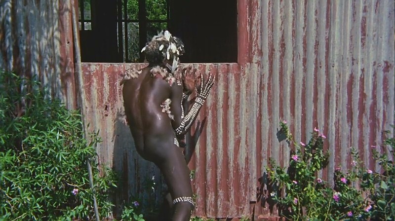 小姐弟荒原历险剧照的剧照